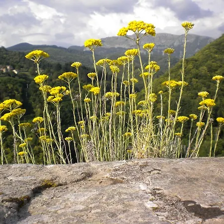 Bed & Breakfast Pra' Di Reto Castelnuovo di Garfagnana